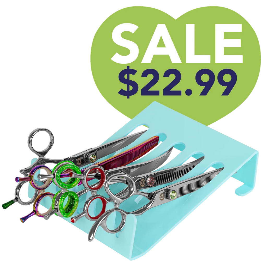 5-scissor-holder-drawer-and-table-aqua-by-petstore-direct