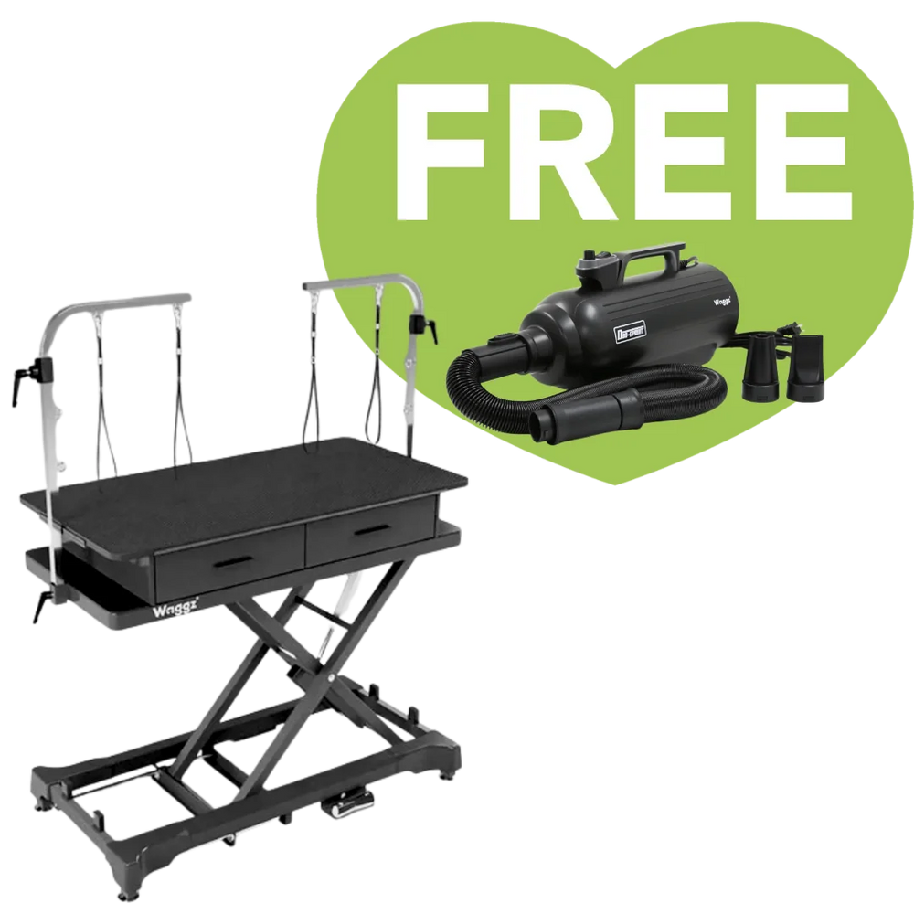 50" Dog Grooming 908P Electric Table with Drawer Black + Free Duo-Sprint Dryer by Waggz