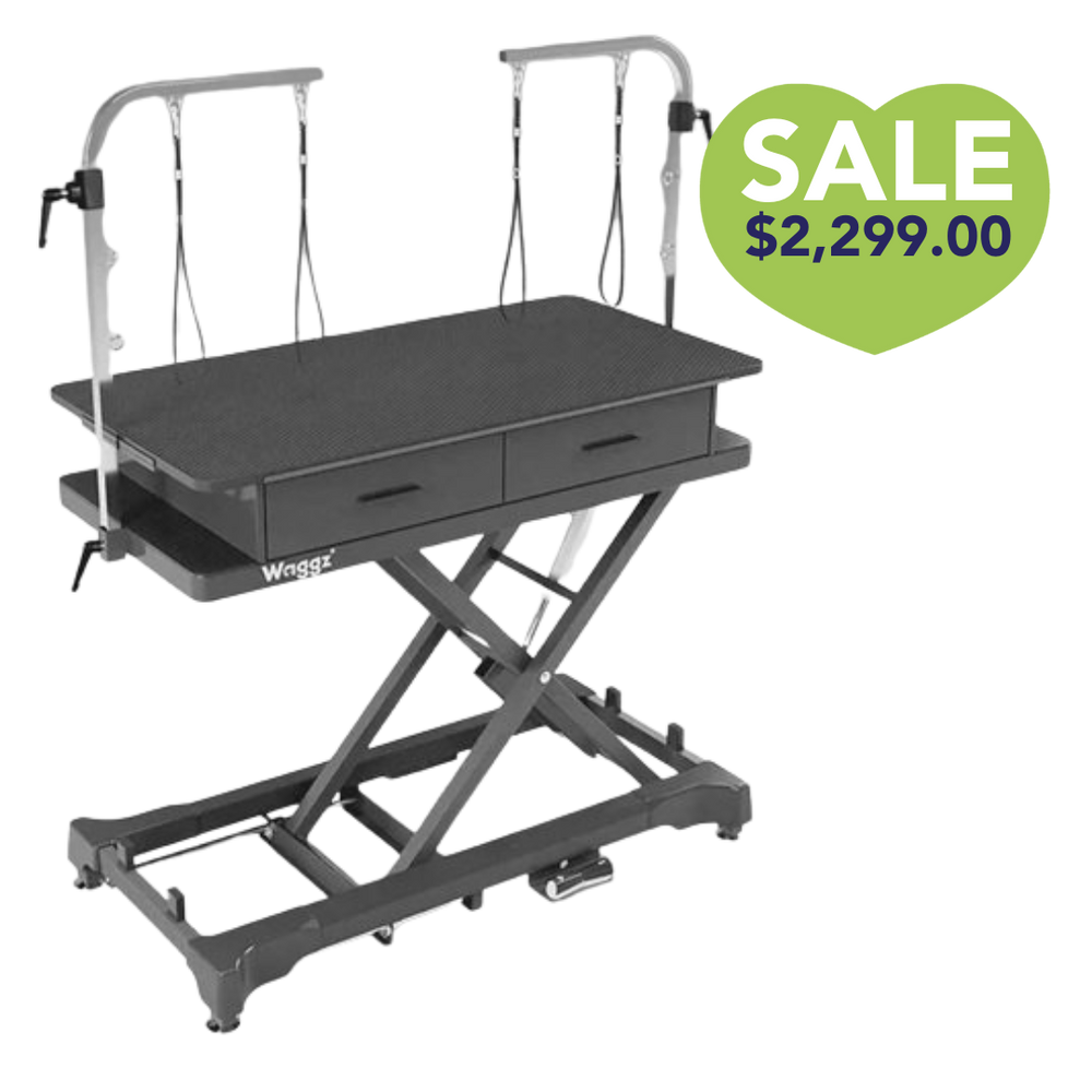 50" Dog Grooming 908 Electric Table with Drawer Black by Waggz