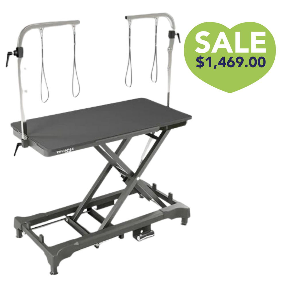 50" Dog Grooming 908 Electric Table without Drawer Black by Waggz