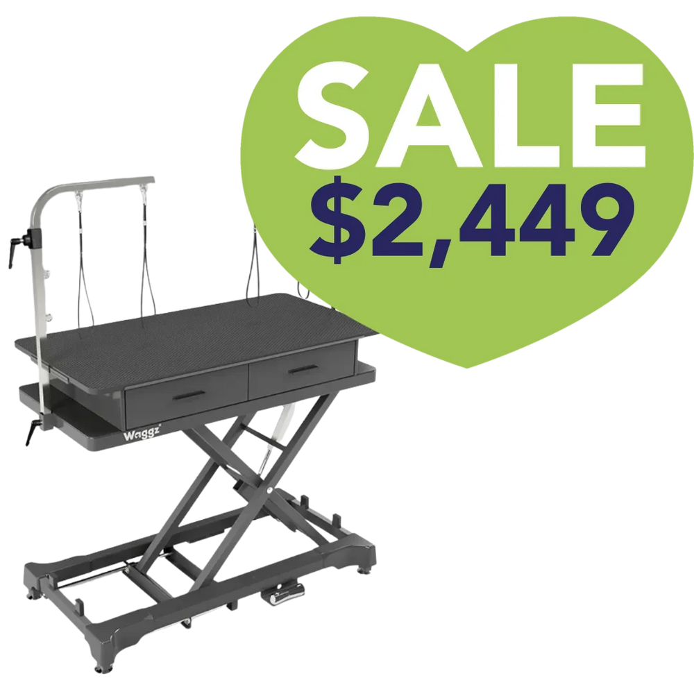 50" Dog Grooming 999P Electric Table with Drawer Black by Waggz