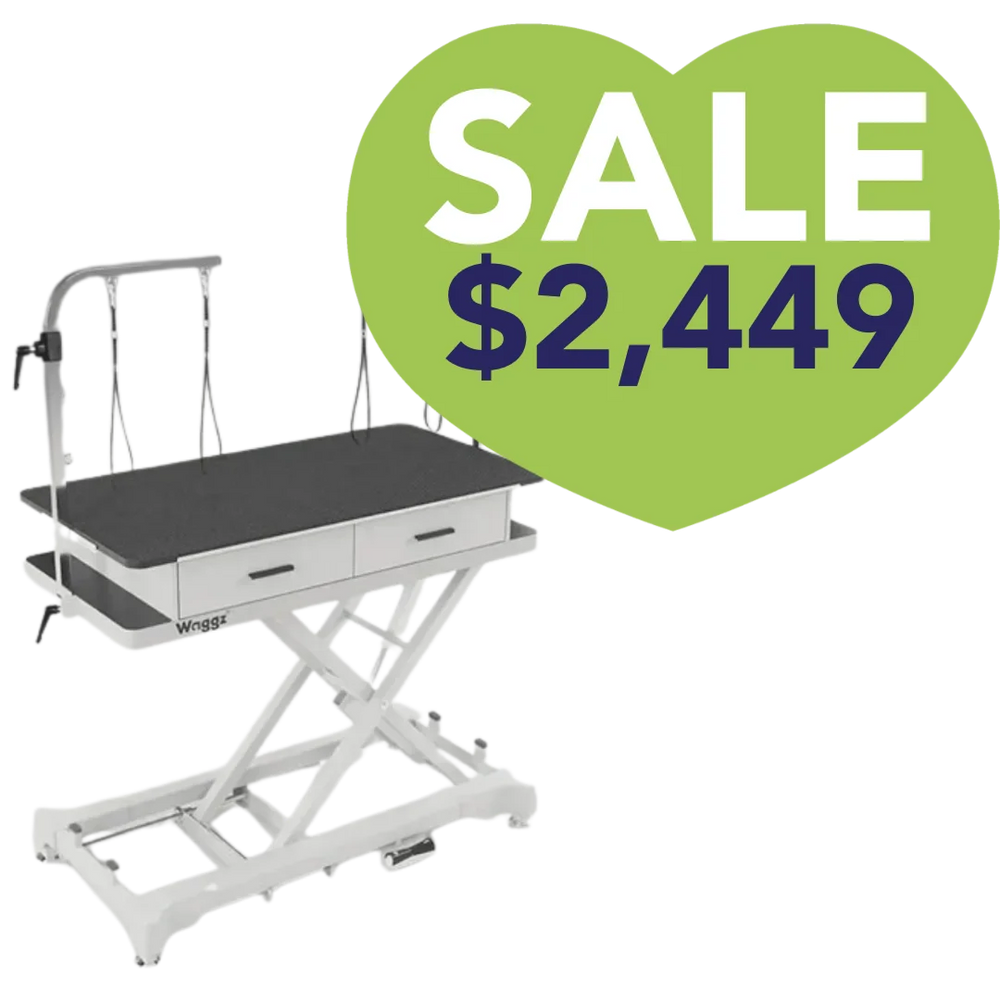50" Dog Grooming 999P Electric Table with Drawer White by Waggz