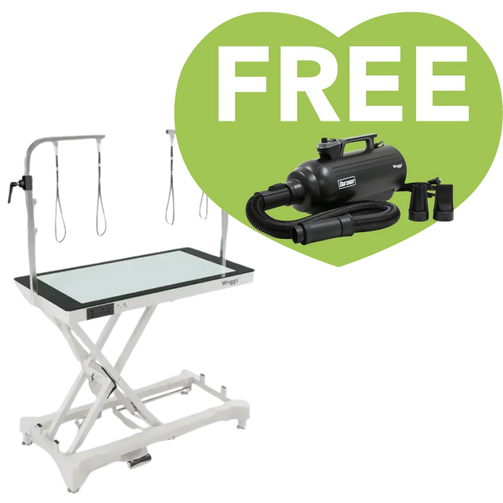 50" Dog Grooming LED Electric Table without Drawer White + Free Duo-Sprint Dryer by Waggz