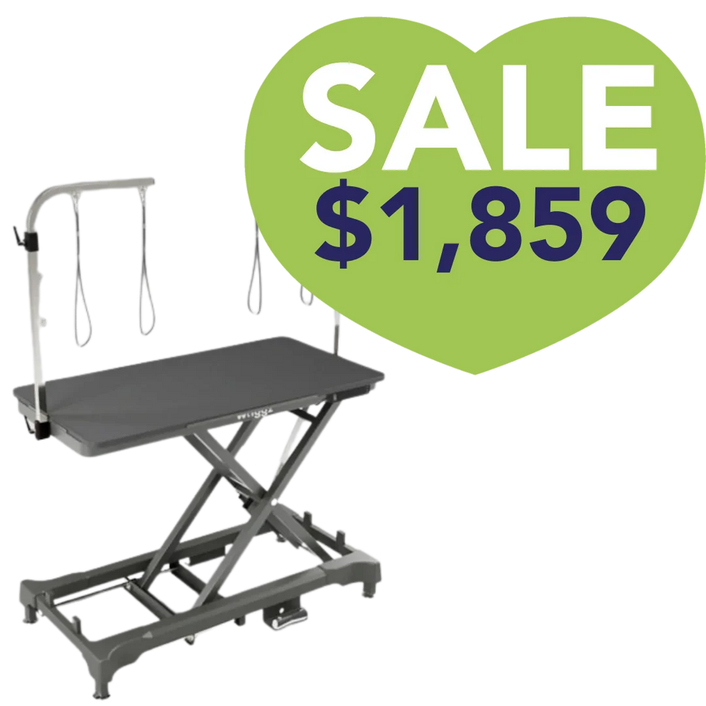 52" Dog Grooming 999 Electric Table without Drawer Black by Waggz
