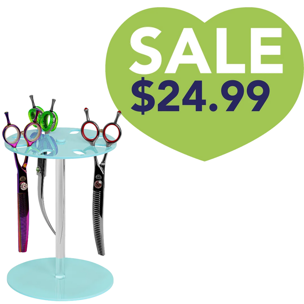 8 Scissor Holder Table Aqua by PetStore.Direct