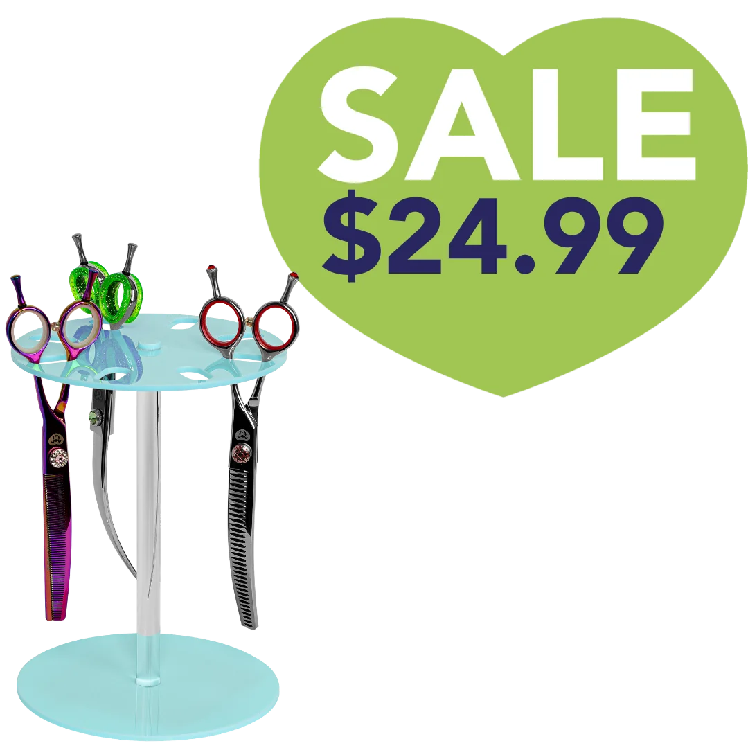 8 Scissor Holder Table Aqua by PetStore.Direct