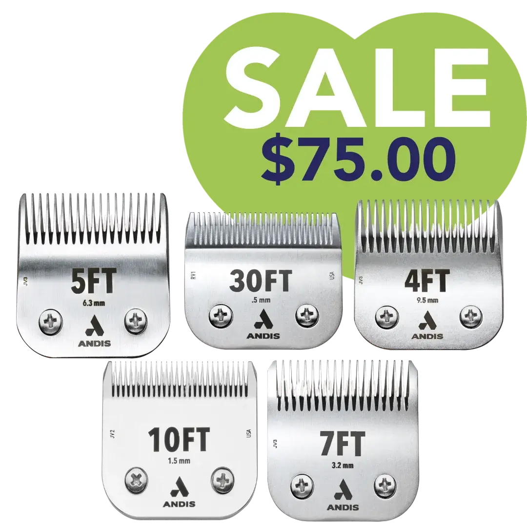 CeramicEdge Regular Blade Set of 5 by Andis