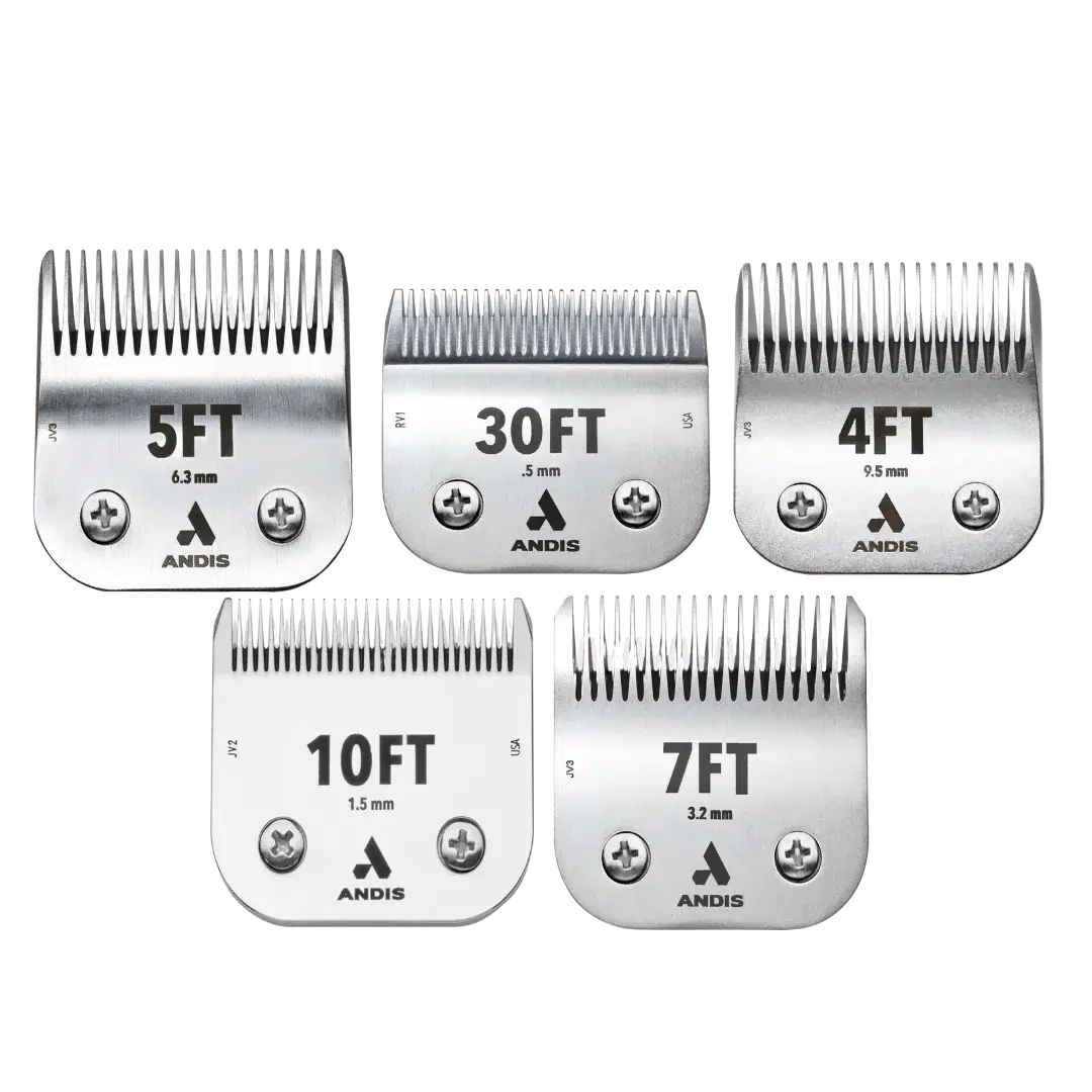 CeramicEdge Regular Blade Set of 5 by Andis