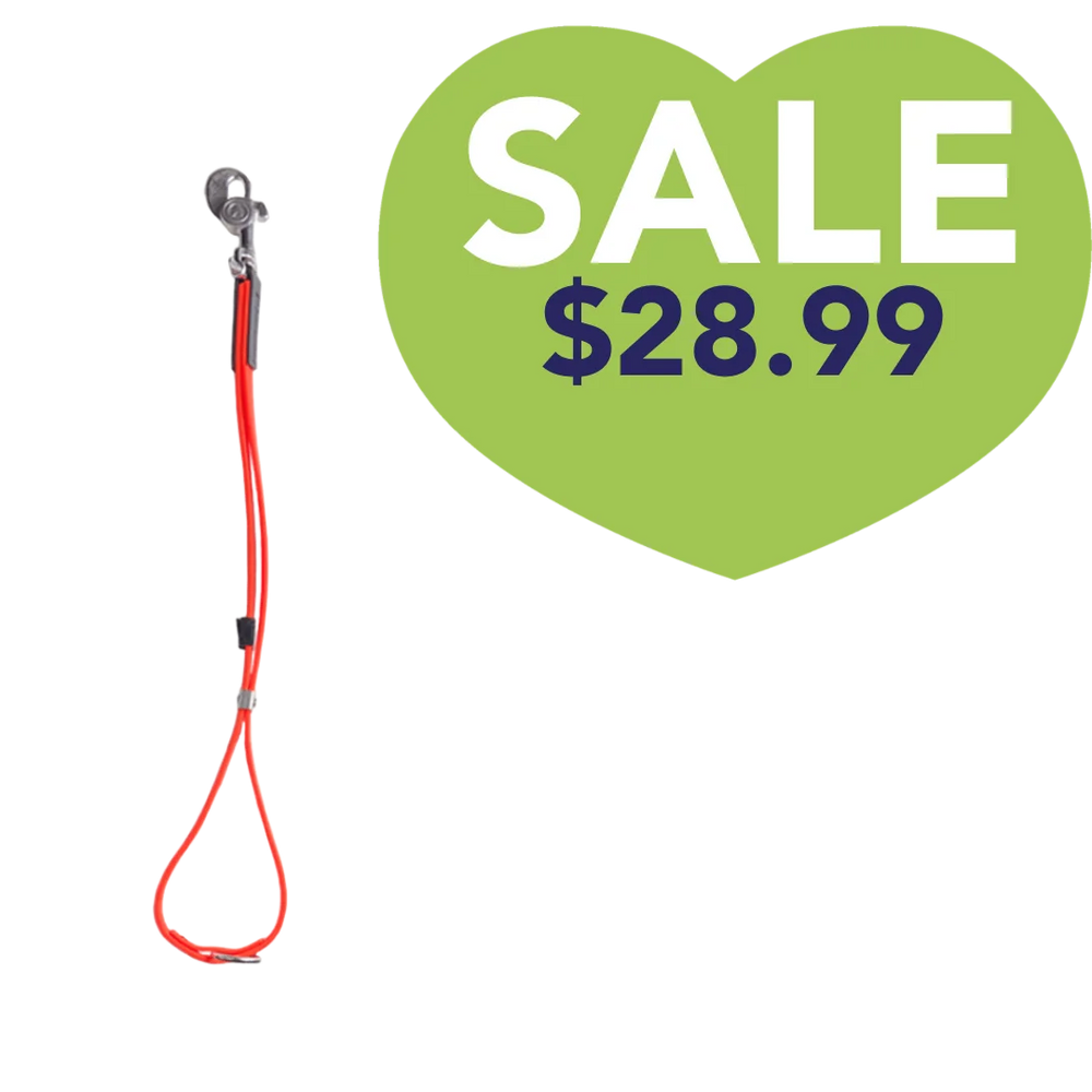 Alpha Grooming AXL loop in orange