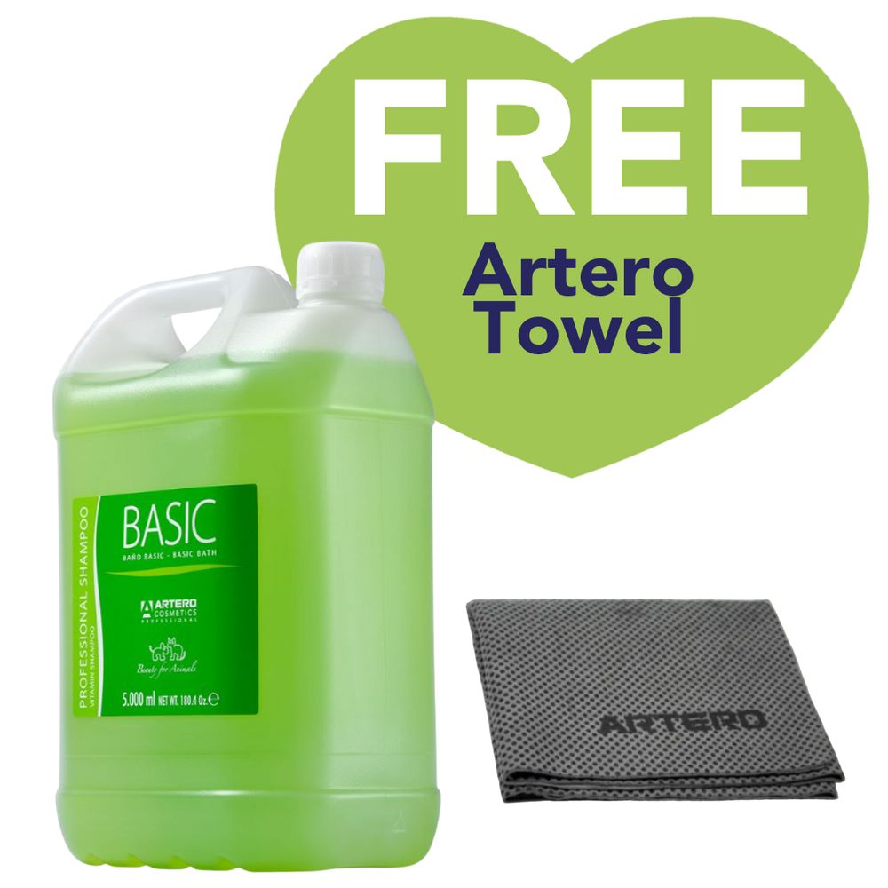 Basic Day-To-Day Shampoo with Free Towel by Artero