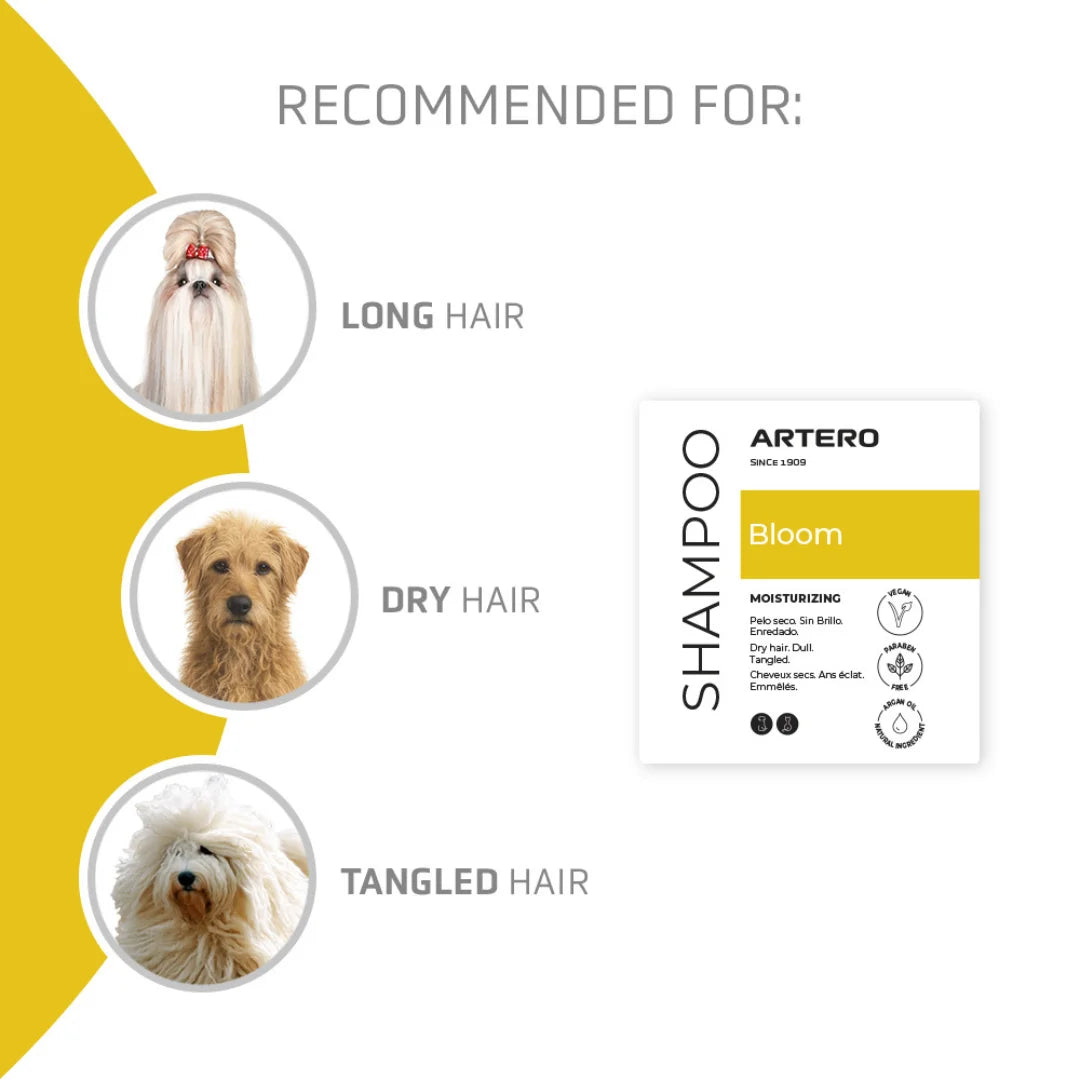 artero-bloom-argan-shampoo-for-dog-grooming