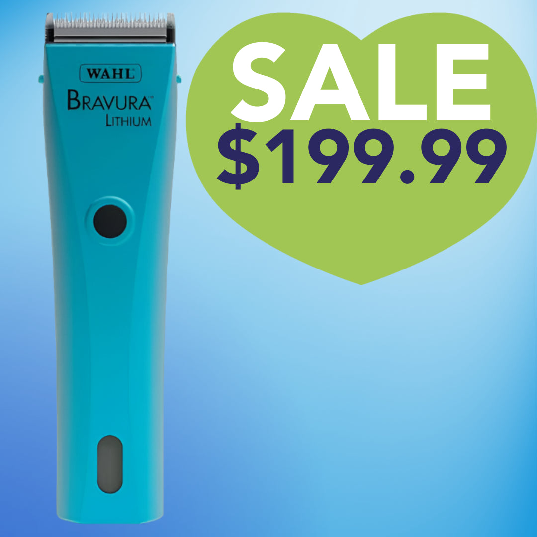 Bravura Lithium Cordless Clipper Turquoise by Wahl