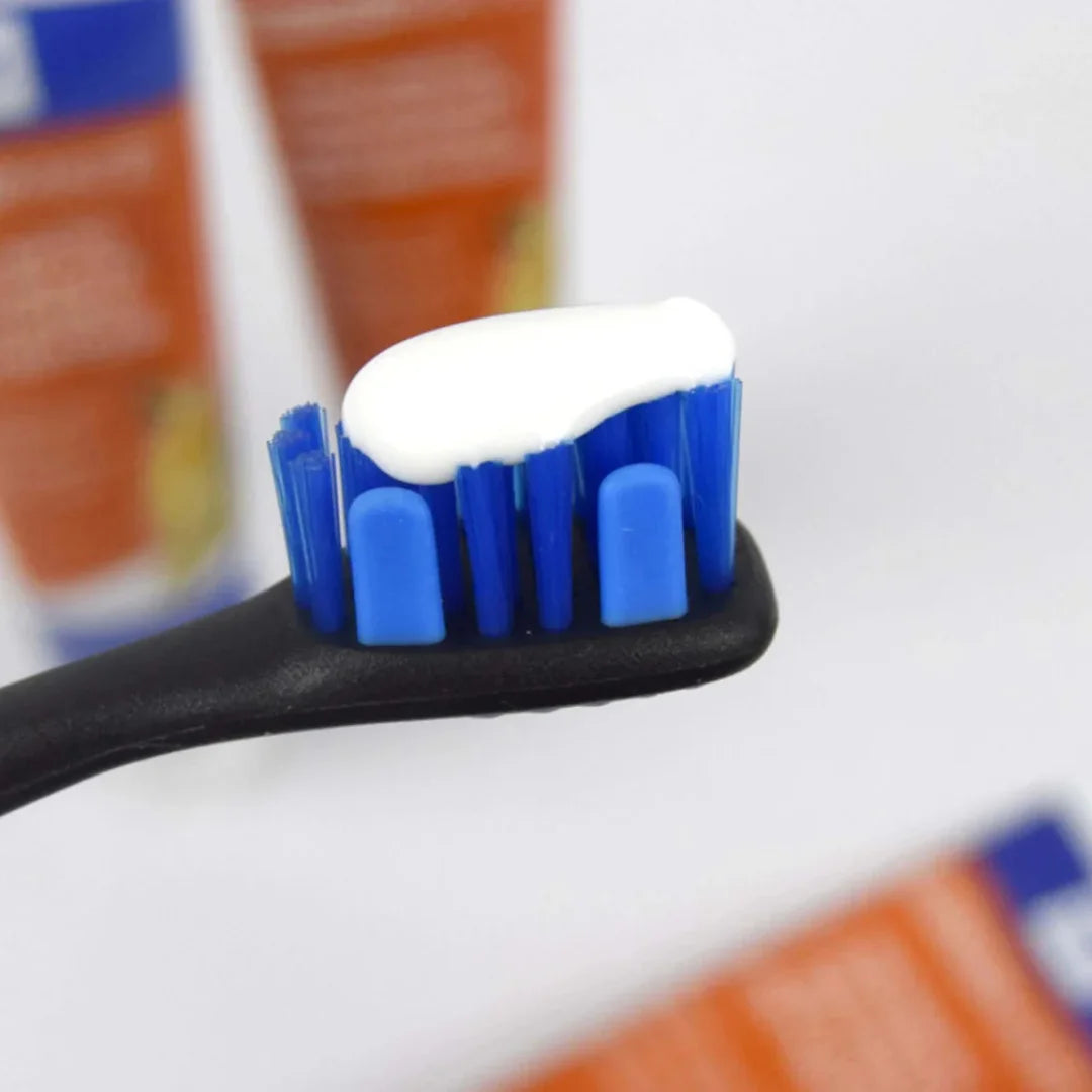 Brushmate Toothpaste Bacon Cheese 2.5oz by Paw Ready