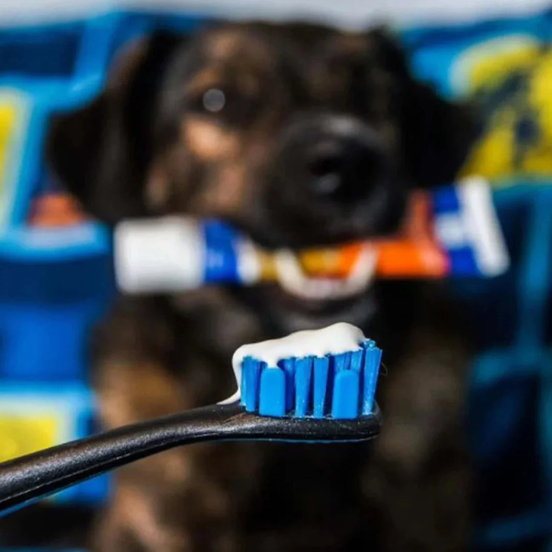 Brushmate Toothpaste Bacon Cheese 2.5oz by Paw Ready