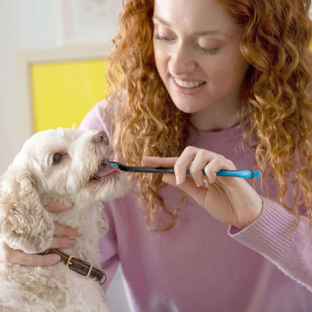 Brushmate Toothpaste Bacon Cheese 2.5oz by Paw Ready