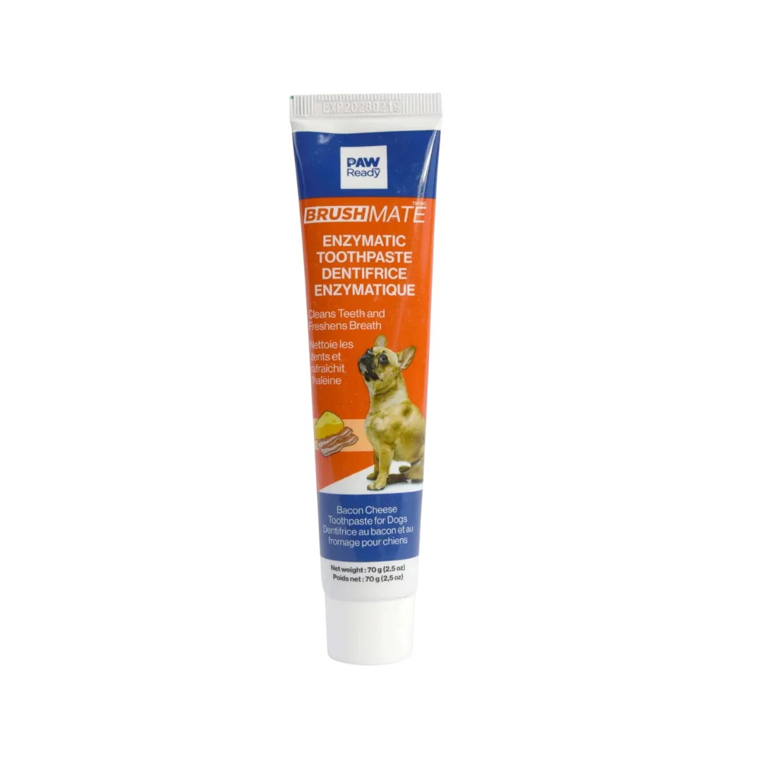 Brushmate Toothpaste Bacon Cheese 2.5oz by Paw Ready