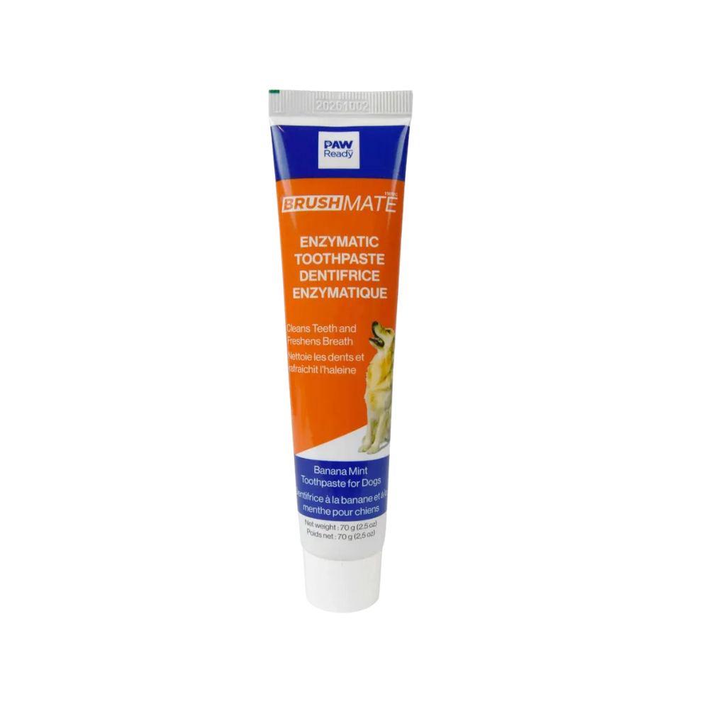 Brushmate Toothpaste Banana Mint 2.5oz by Paw Ready