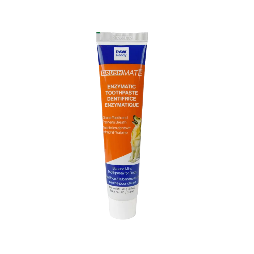 Brushmate Toothpaste Banana Mint 2.5oz by Paw Ready