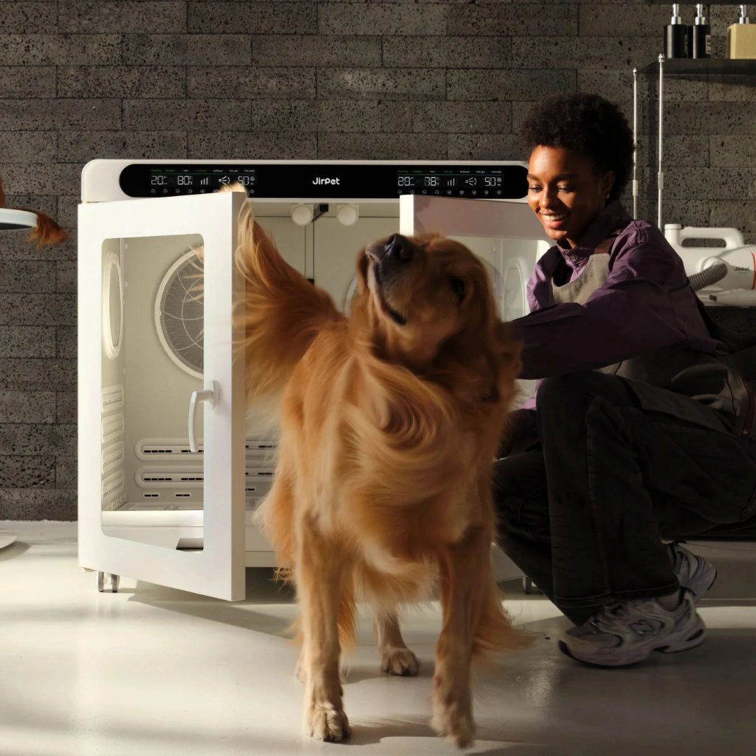 CPlus Large Cabin Dryer by Jirpet