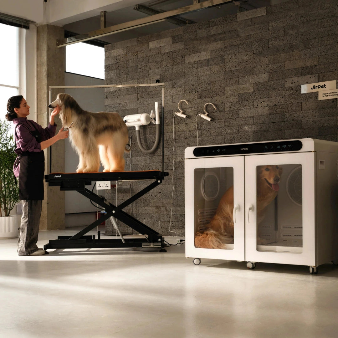CPlus Large Cabin Dryer by Jirpet