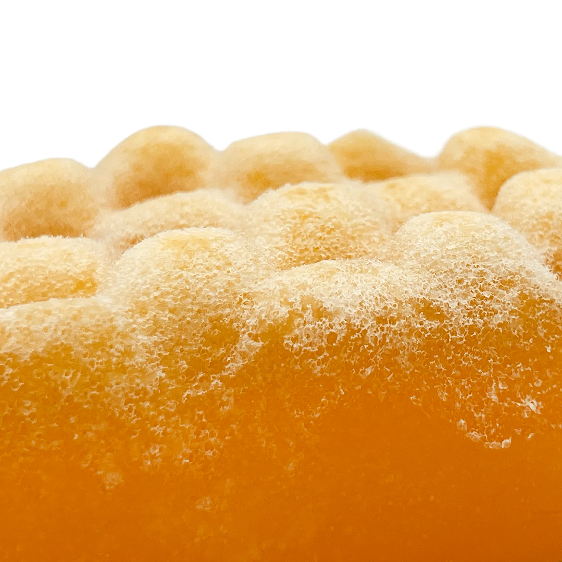 Sweet Orange Essential Oil Wash Sponge by Dog Fashion Spa