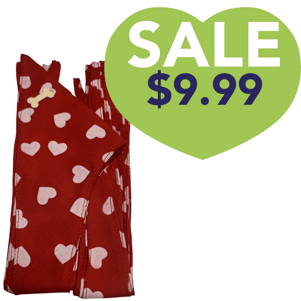Valentines Dog Bandana Design #87 by Cecilia (Set of 10)