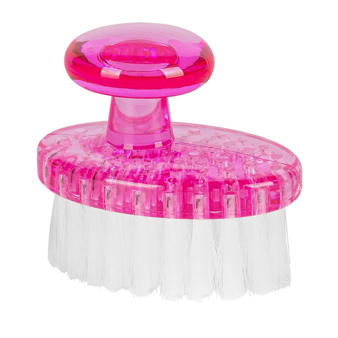 Set of 4 Face and Paw Brush by Dog Fashion Spa