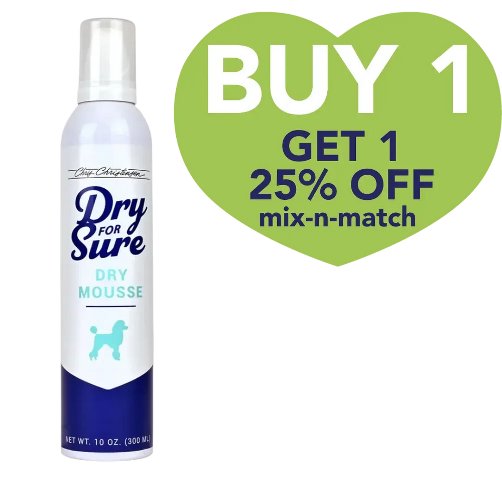 Dry For Sure Dry Mousse 10oz by Chris Christensen