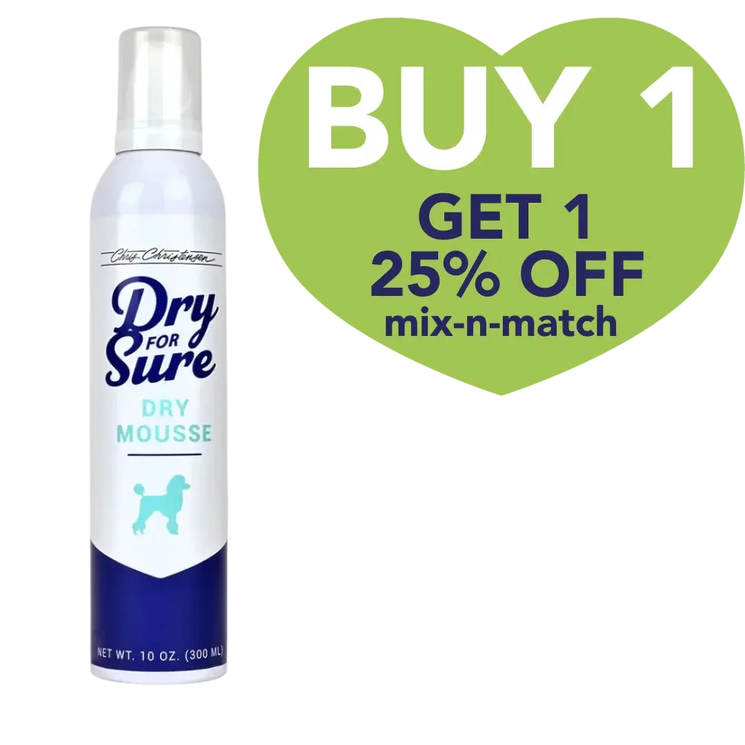 Dry For Sure Dry Mousse 10oz by Chris Christensen