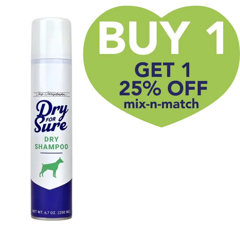 Dry For Sure Dry Shampoo 6.7oz by Chris Christensen