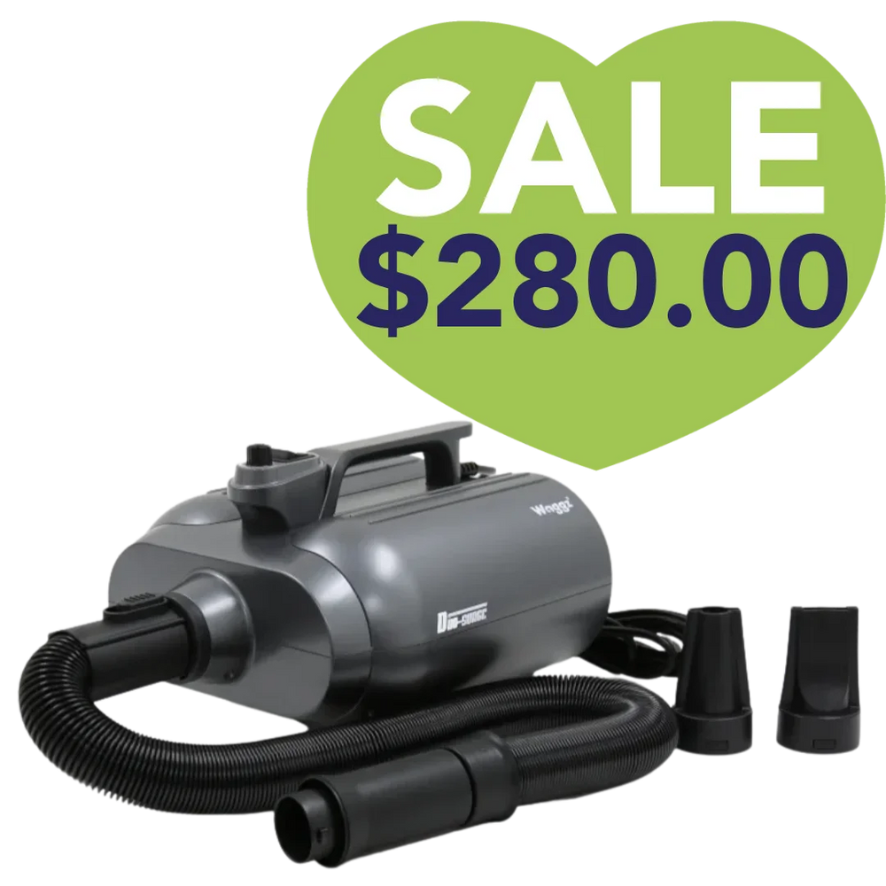 Duo-Surge Max Power & Airflow Dryer by Waggz