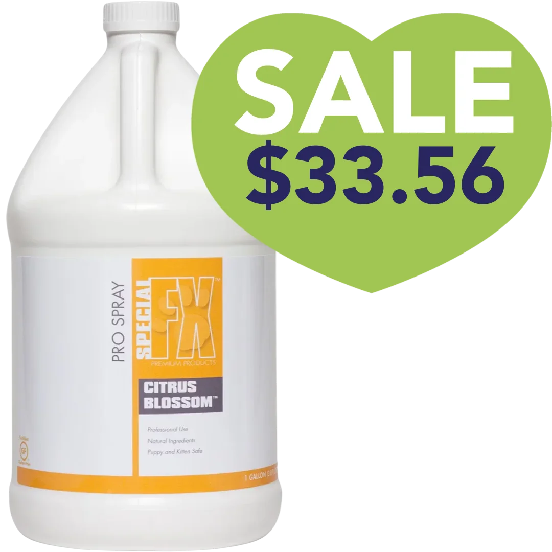 Citrus Blossom Pro Spray 1 Gallon by Special FX