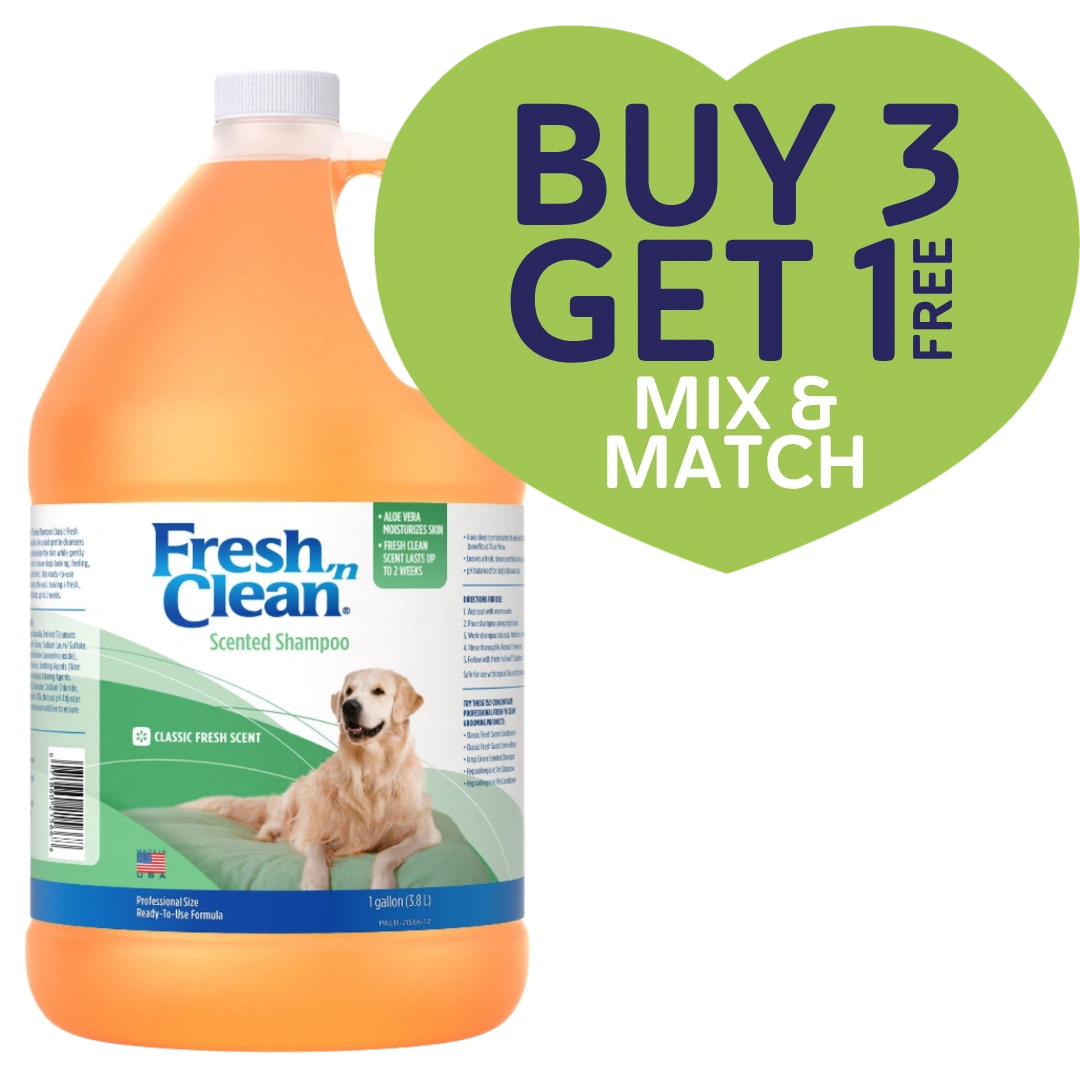 Scented Shampoo Classic Fresh Scent Ready to Use Gallon by Fresh 'n Clean