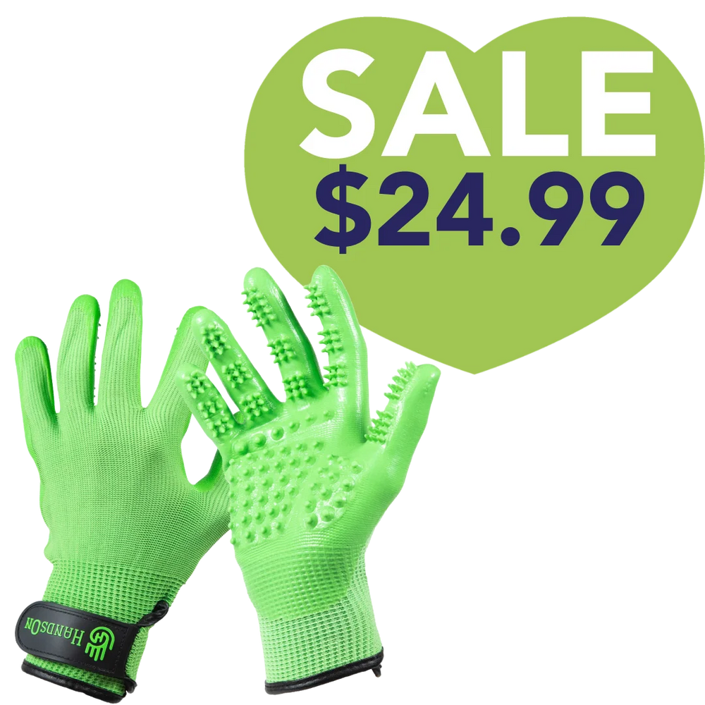 Green Deshedding Gloves by HandsOn Gloves