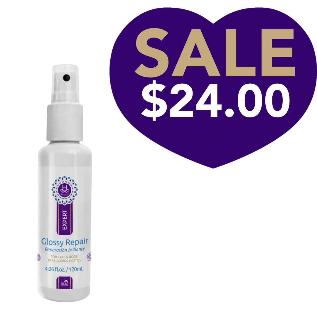 Expert Glossy Repair 4.06oz by Hydra