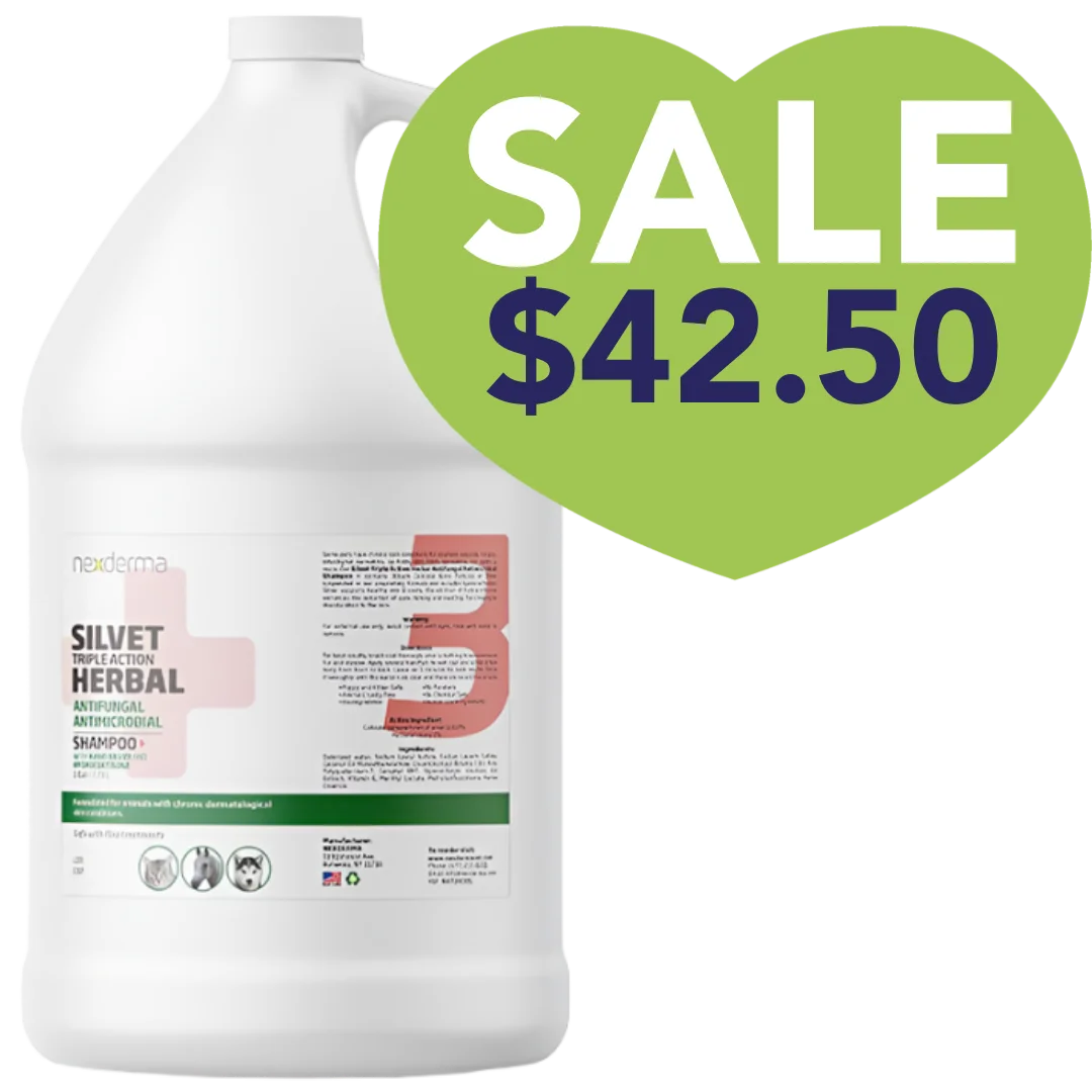 Nexderma Herbal Hydrocortisone Shampoo Gallon Sale