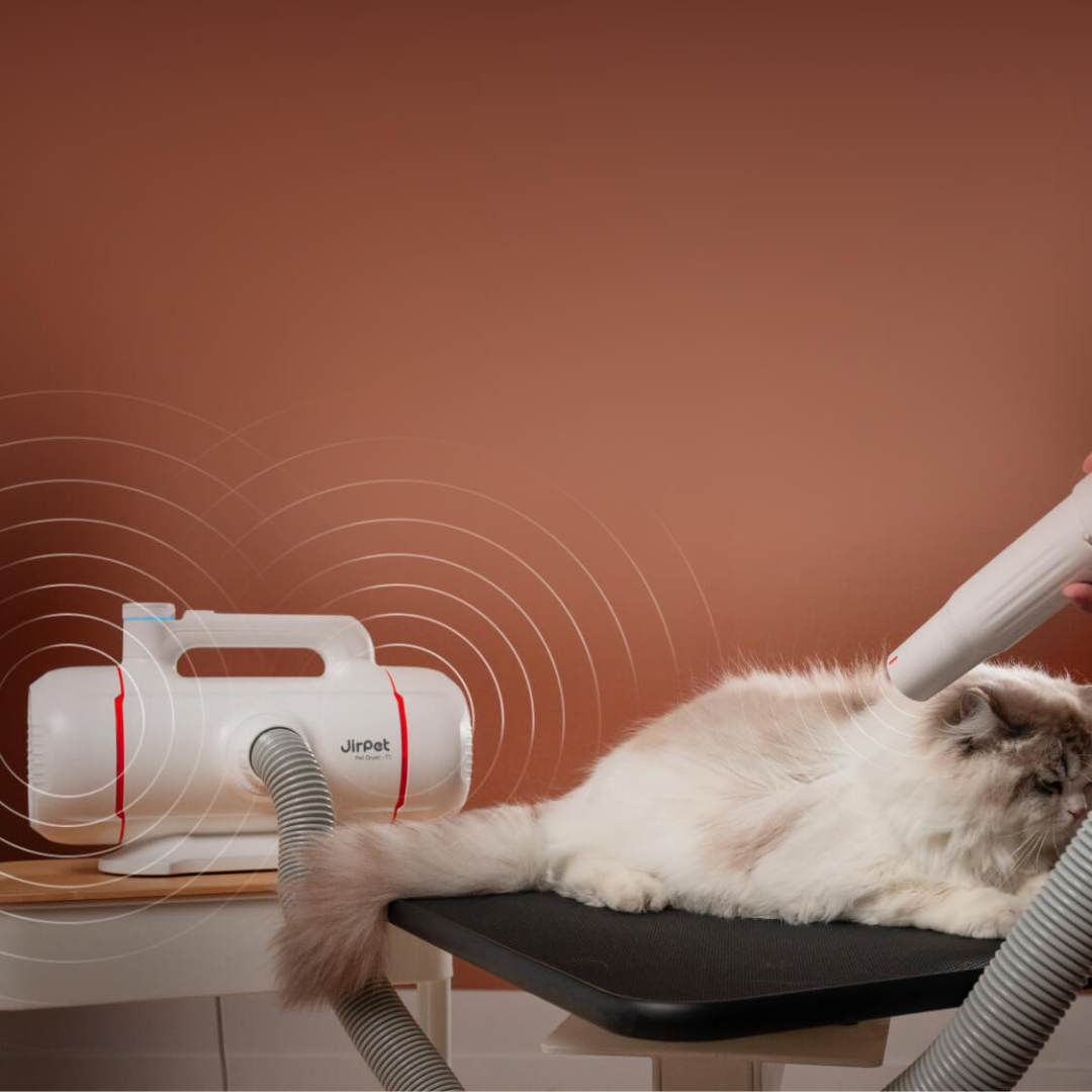 Pre-Order Twin Titan Force Dryer by Jirpet