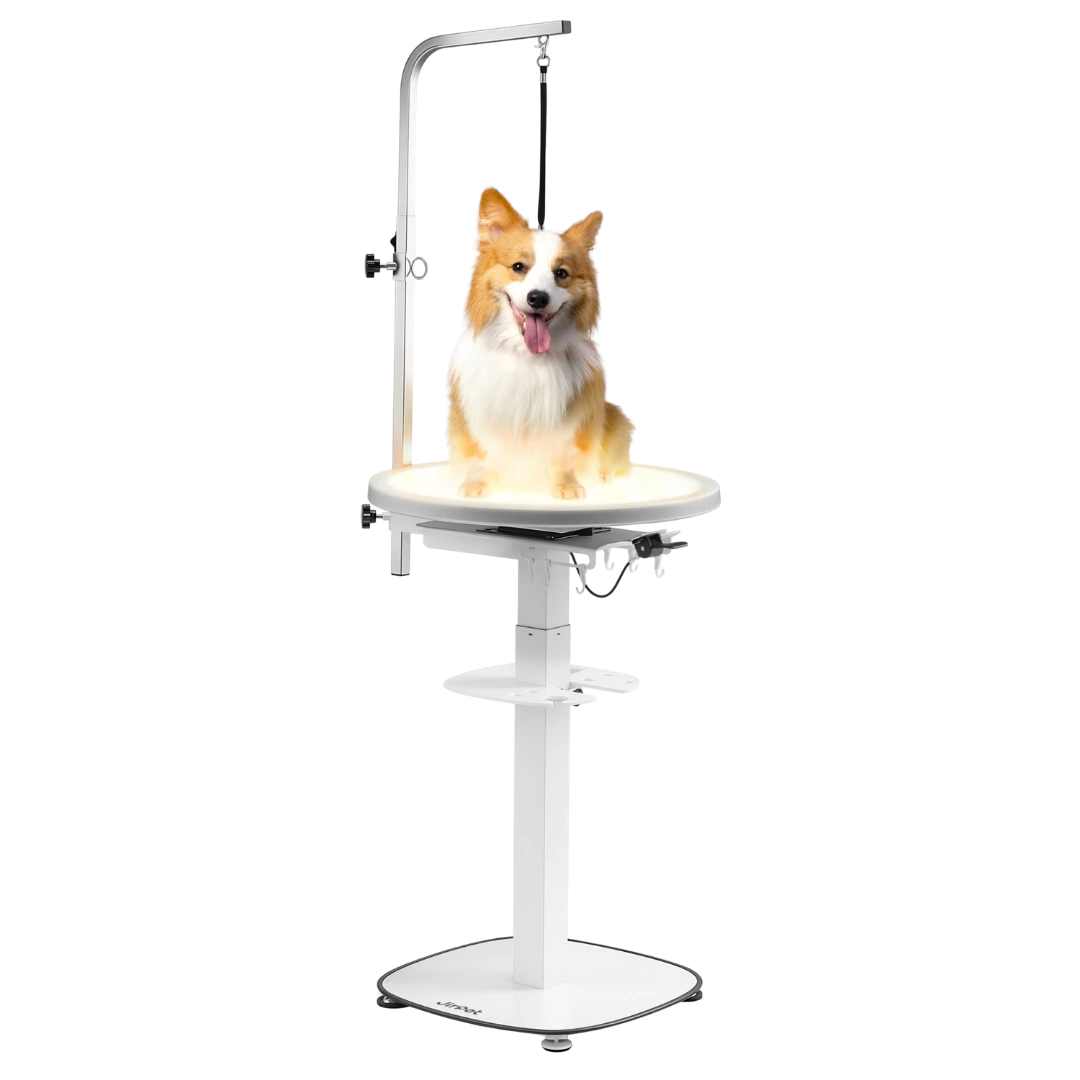 Revolve360 Hydraulic 360° Rotating Grooming Table with Tabletop Light by Jirpet