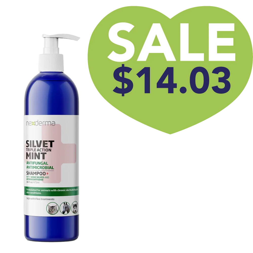 Nexderma Mint Hydrocortisone Shampoo 16oz Sale