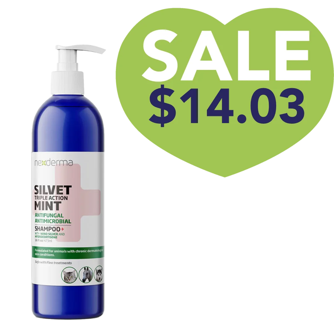 Nexderma Mint Hydrocortisone Shampoo 16oz Sale