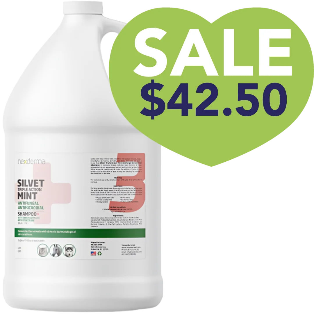 Nexderma Mint Hydrocortisone Shampoo Gallon Sale