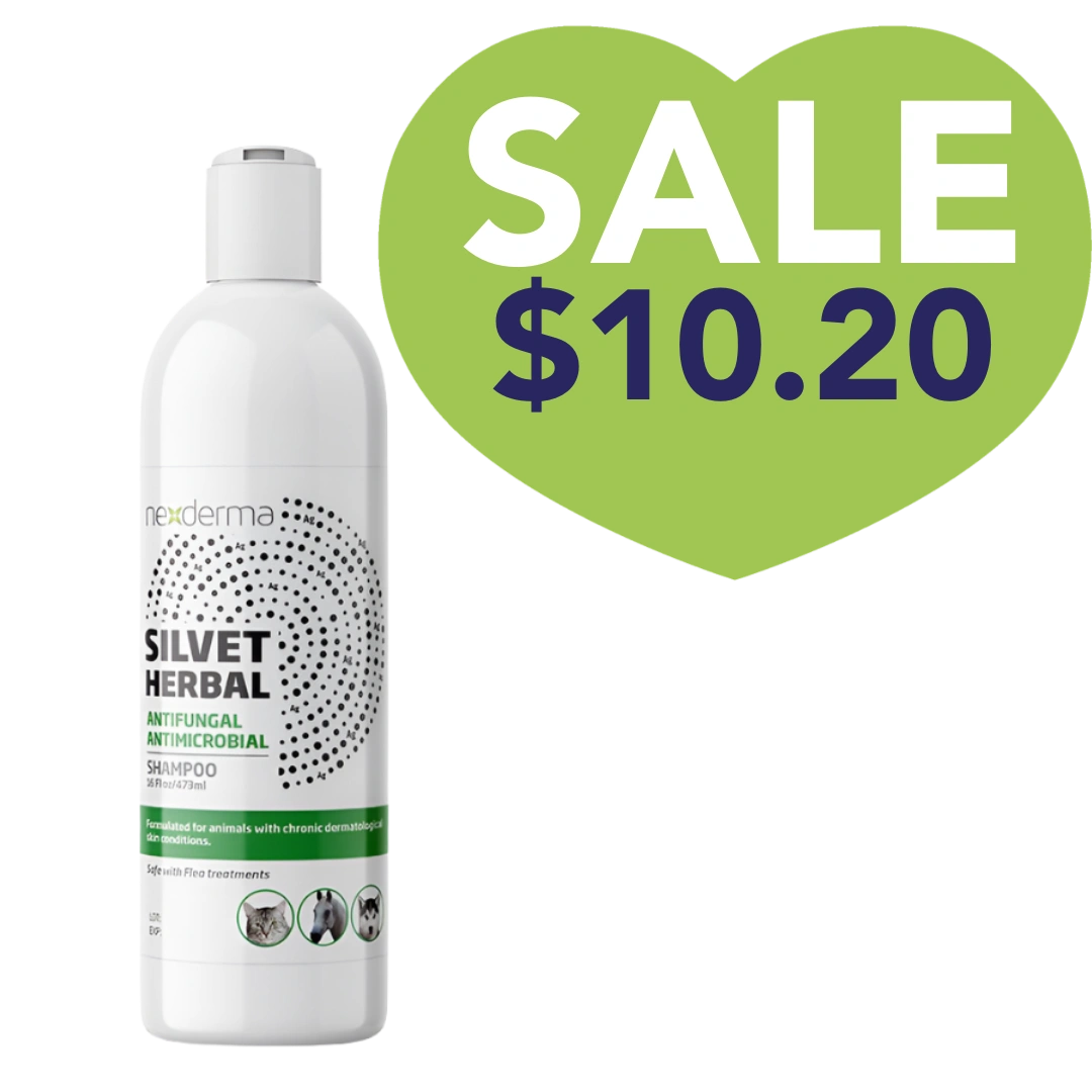 Silvet Herbal Antifungal Antimicrobial Shampoo 16oz by Nexderma