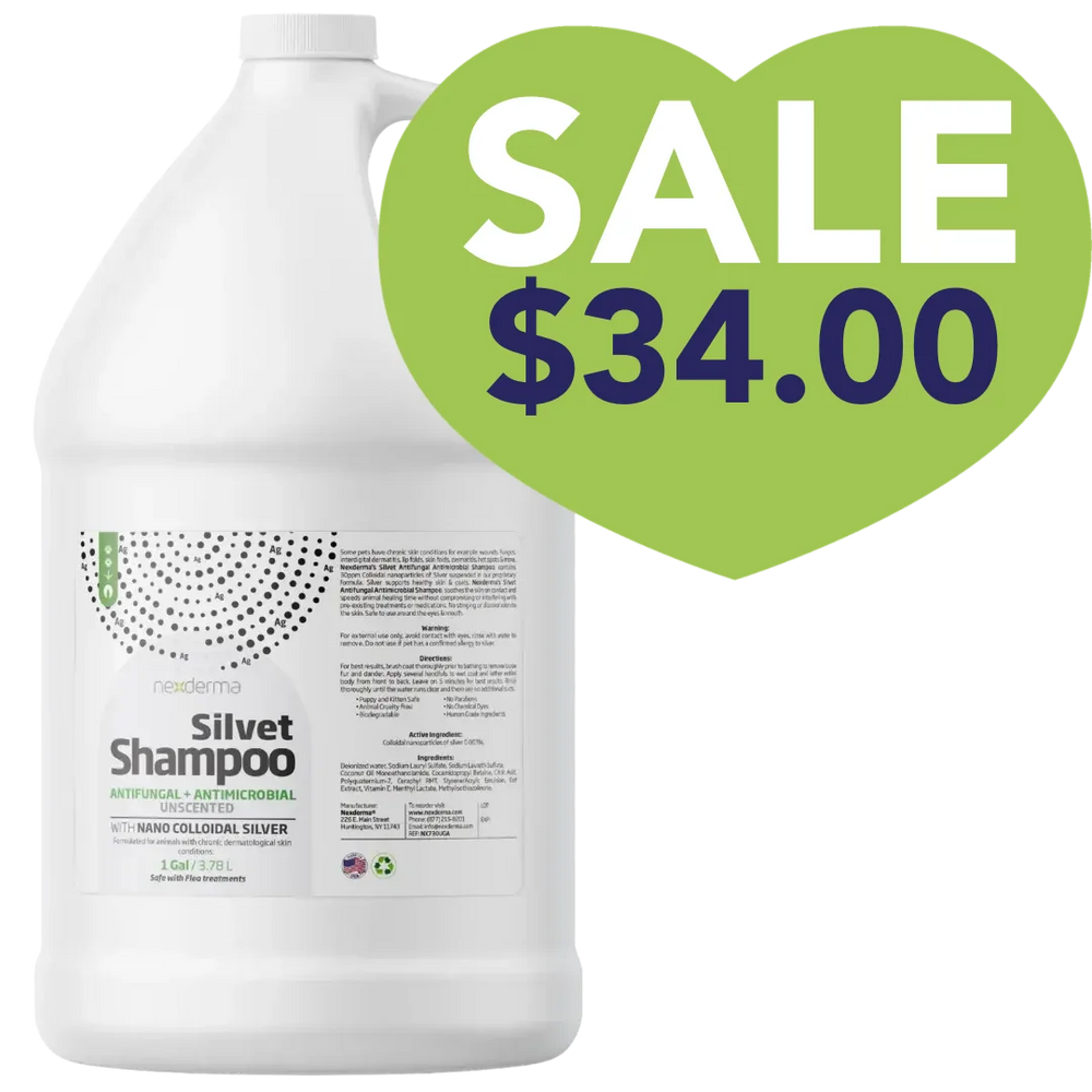 Silvet Unscented Antifungal Antimicrobial Shampoo Gallon Sale Nexderma