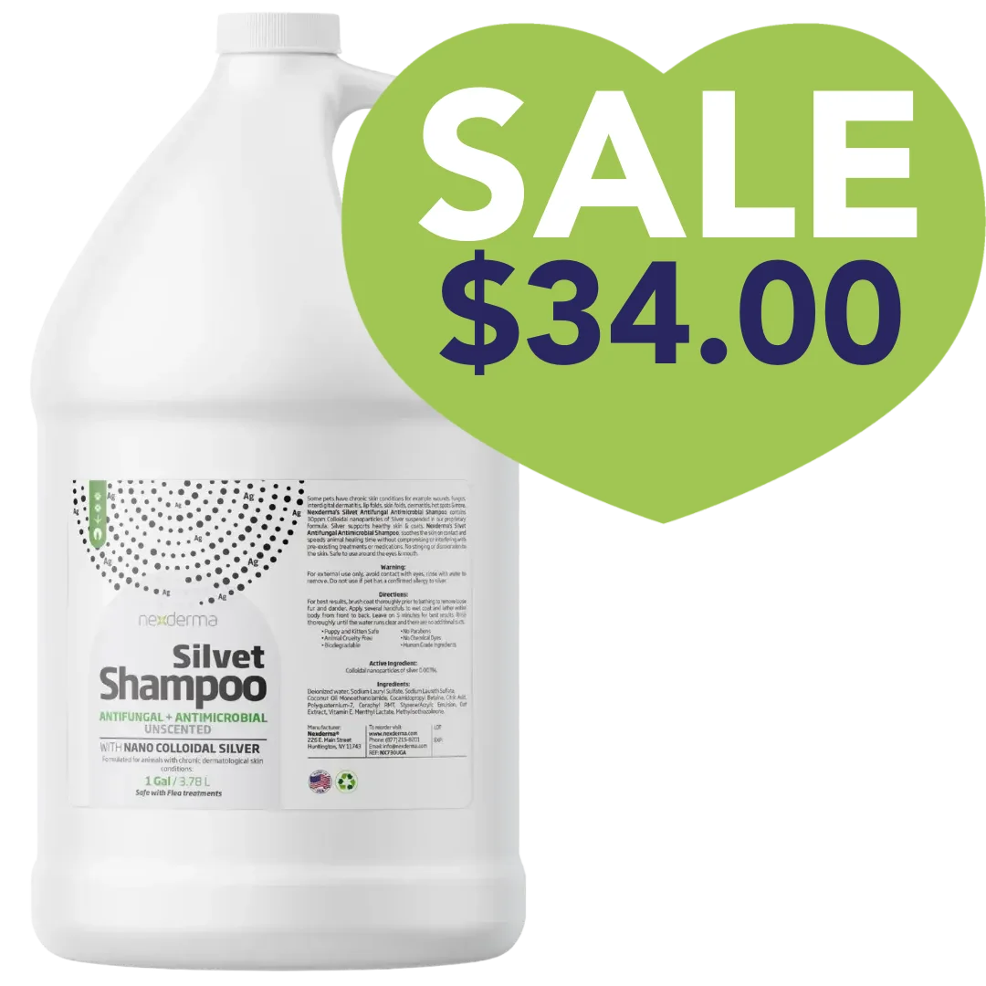 Silvet Unscented Antifungal Antimicrobial Shampoo Gallon Sale Nexderma