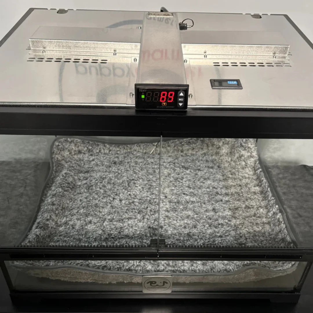 Puppy Incubator 24