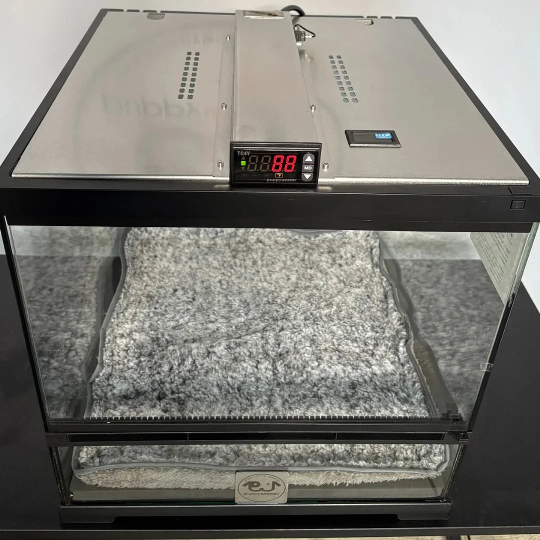 Puppy Incubator 18
