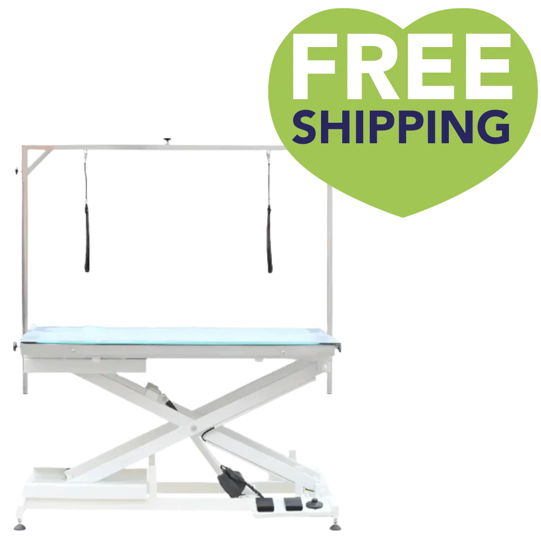 Premium LED Lighted Electric Table - 48