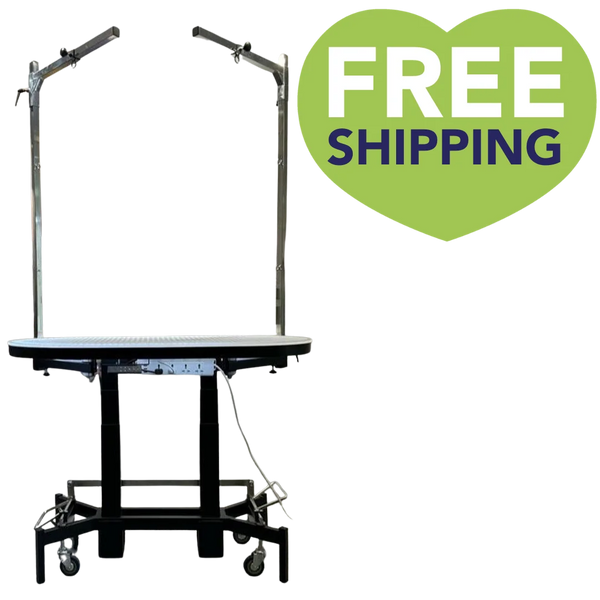PetStore.Direct Premium Electric Table Black by TZGroom