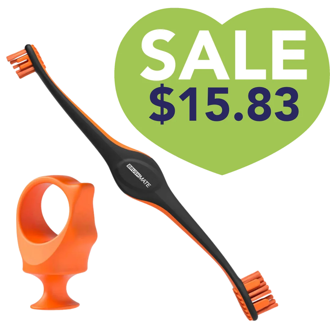 Orange Brushmate Premium Toothbrush with Biteblock Small by Paw Ready