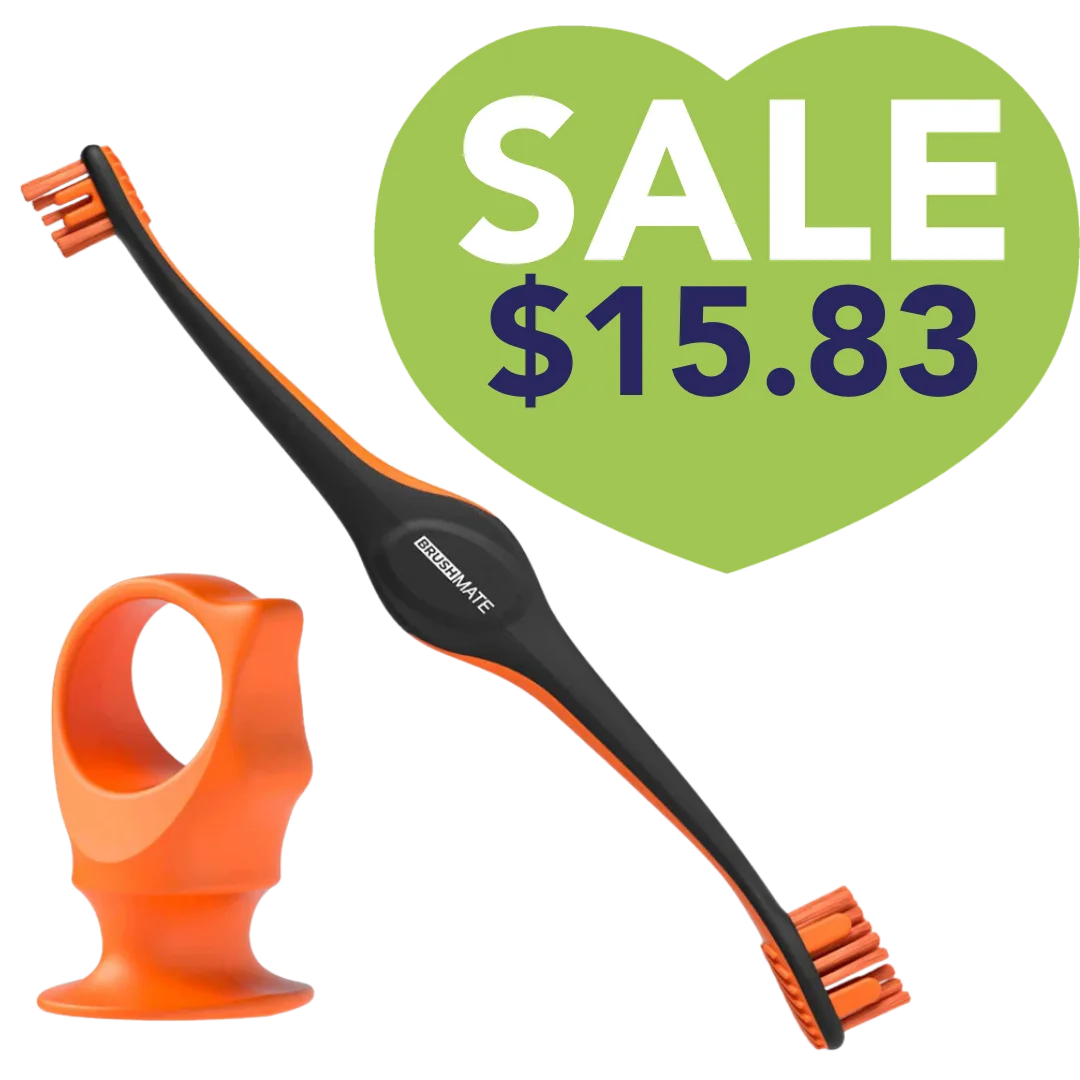 Orange Brushmate Premium Toothbrush with Biteblock Medium by Paw Ready